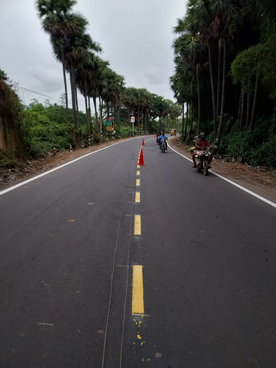 Fresh yellow centre-line marking on a tree-lined rural road