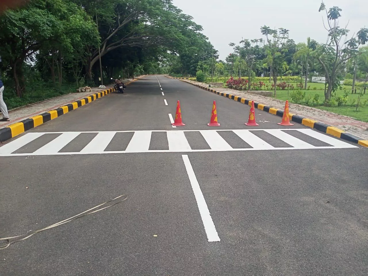 Completed thermoplastic zebra crossing marking on a landscaped institutional road